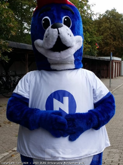 Kindergarten- und Schulbesuche: Nobbie